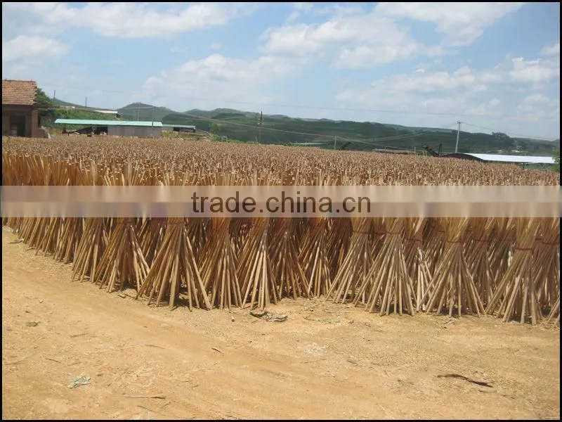 smooth varnishing wooden broom handles/painted wooden broom stick