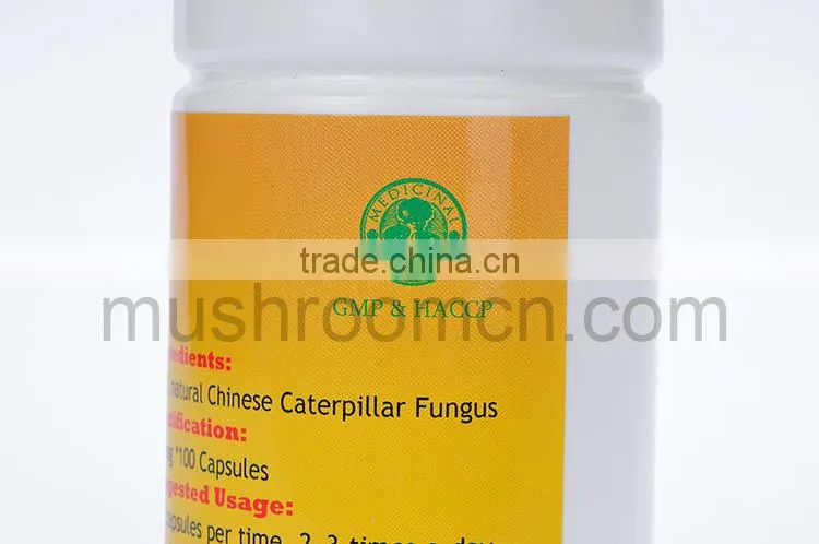 100% Pure Quality Cordyceps Sinensis Capsule