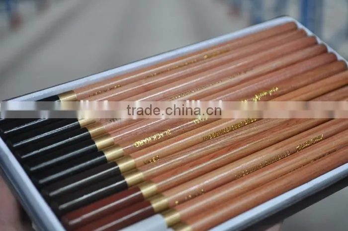 Mont Marte Coloured Charcoal Pencils 12pce