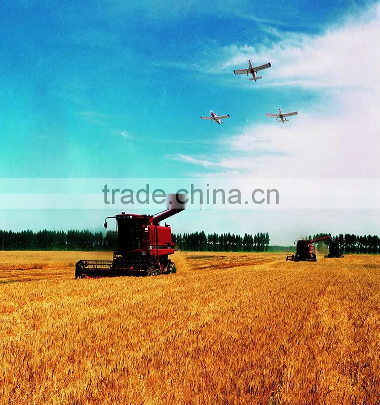 wheat germ oil for best carrier oil