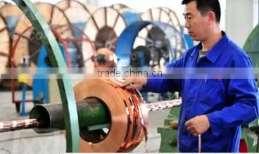 Copper Core PVC/Plastic Insulated No Jacket Control Cable