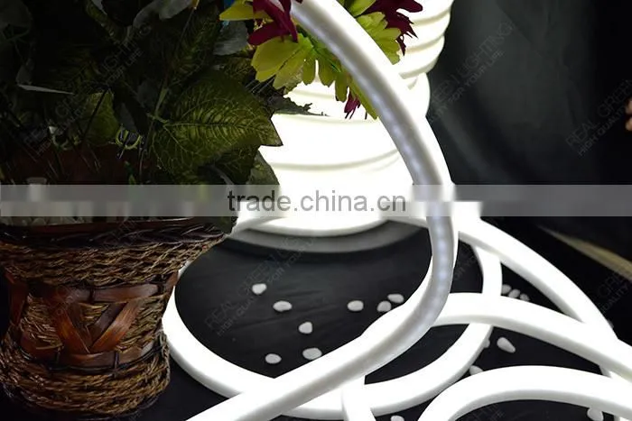 Manufacturer of 220V LED Neon Flex Rope Light