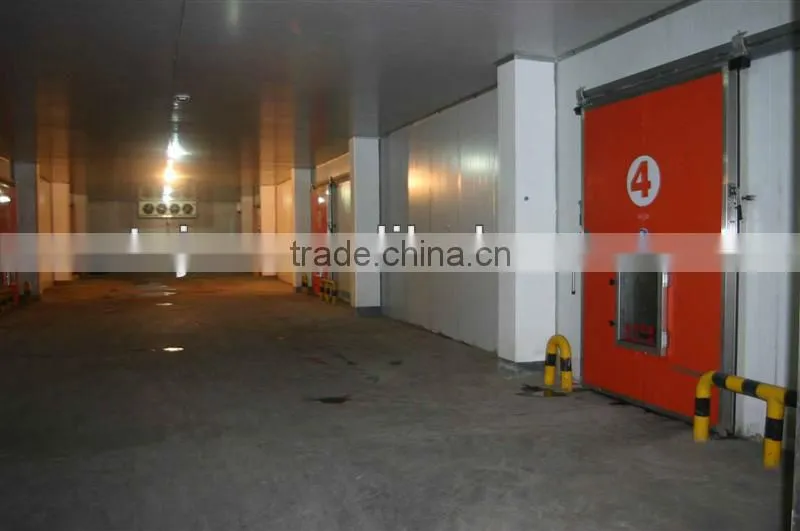 export qinguan apple company