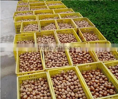 Industrial Green Walnut Cleaning Machine/New Green Walnut Peeling Machine/ Green Walnut Cracker