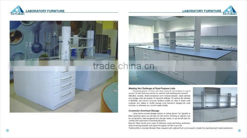 New Style Modern Laboratory Furniture for Hospital Steel Workbench with Drawers and Regent Shelf
