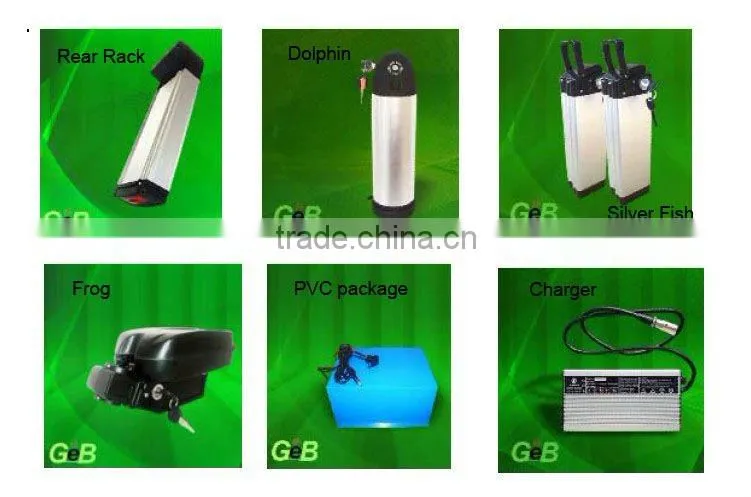 Electric Bikes 1000 Watts 48v Lithium ion Battery Pack for Self Balancing Scooter