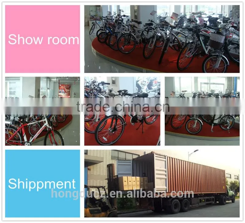 3 wheel handicapped 250W electric tricycle for adults