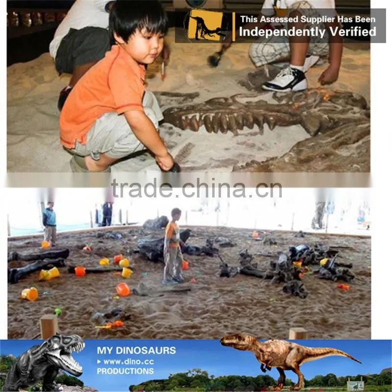 MY Dino-C097 Educational fiberglass dinosaur skeleton specimens