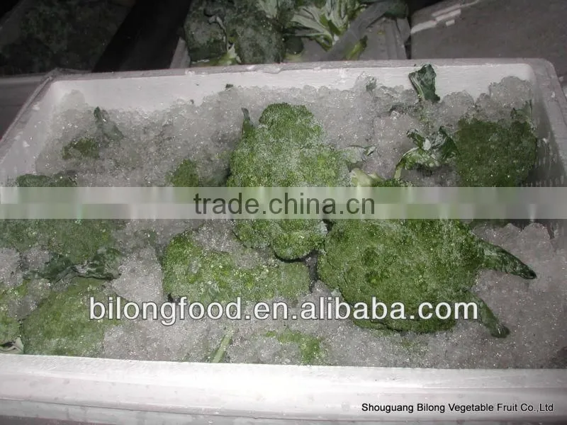 2012 new crop fresh broccoli