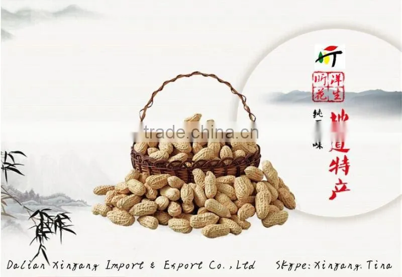 blanched peanuts kernel/roasted blanched peanut/chopped blanched peanuts