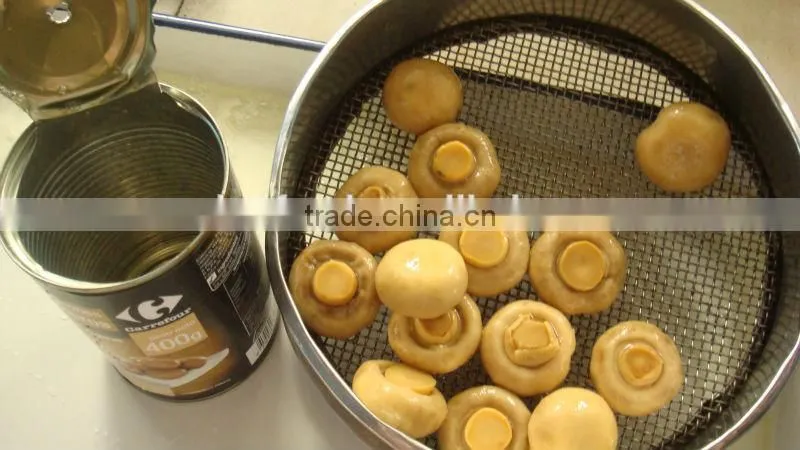 New Crop Canned Water Chestnuts Slice
