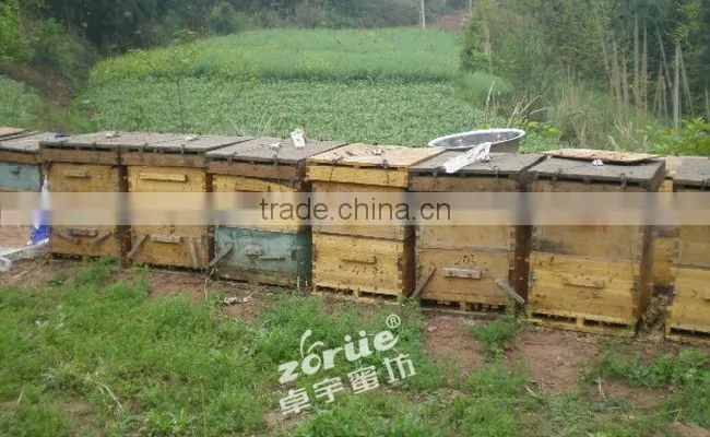 assembled and unassembled Italy beehive offered by manufacture