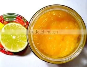 Hot sale ! mango pulping machine
