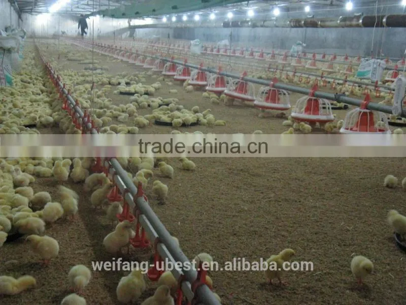 Automatic breeder farm equipment
