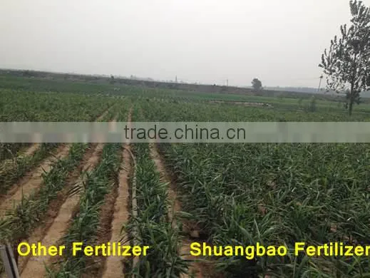 Liquid Microbial Universal Fertilizer
