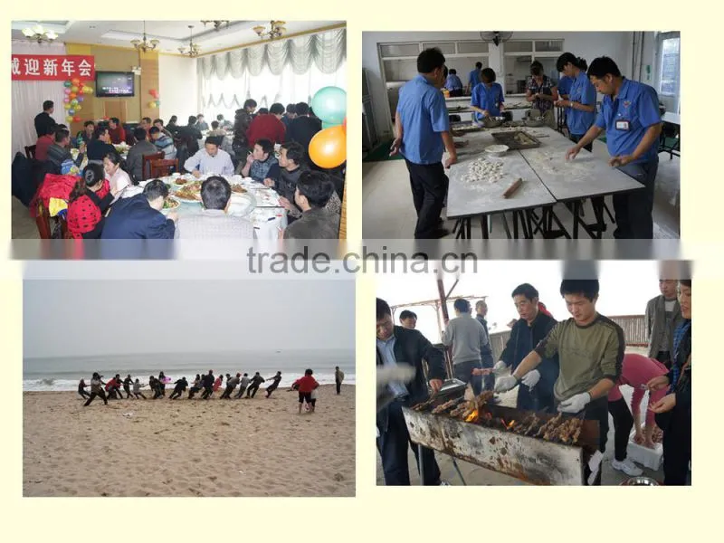 Hydraulic Cylinders dirct buy China
