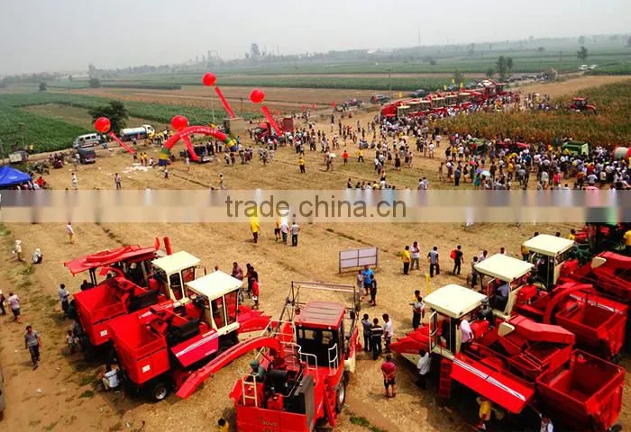 Mini hey baler for wheat straw