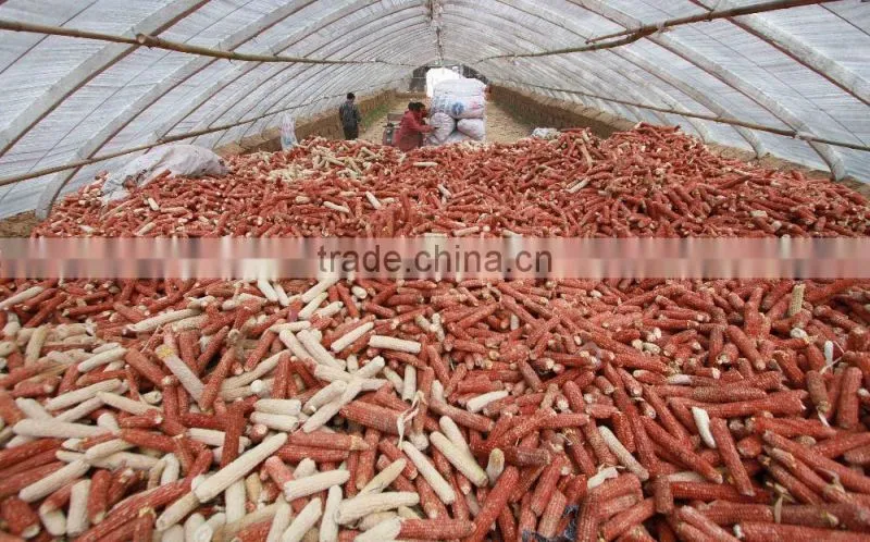 Farm use corn cob grinding machine