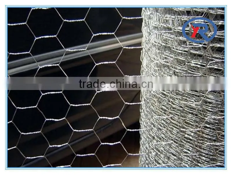 cheap price galvanized hexagonal chicken house wire mesh made in hebei china