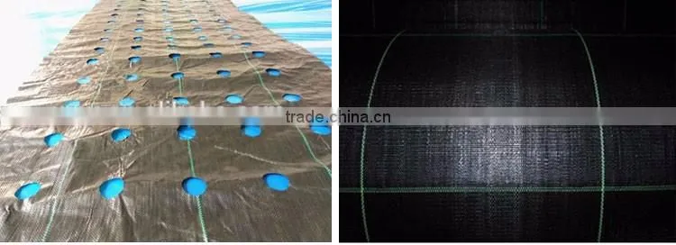 hot-selling plastic anti weed matting for greenhouse