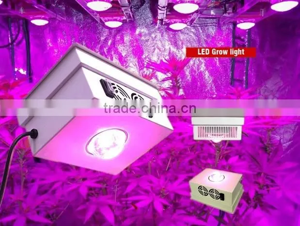 Indoor 150W COB full spectrum LED grow lamp