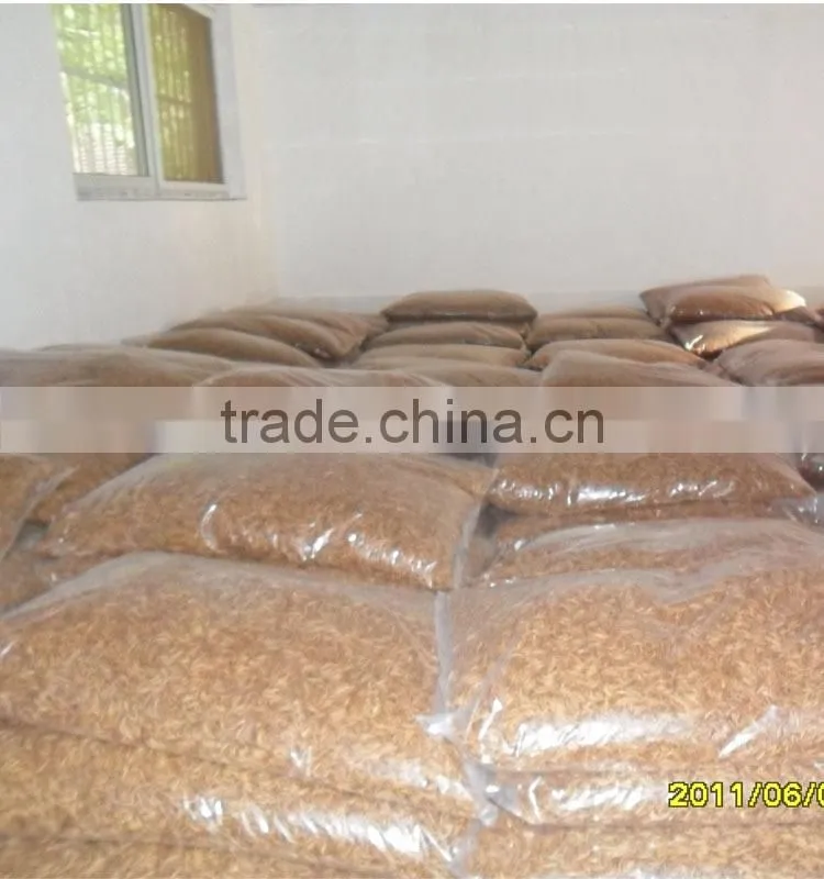 Vacuum freeze dried mealworm pet bird food