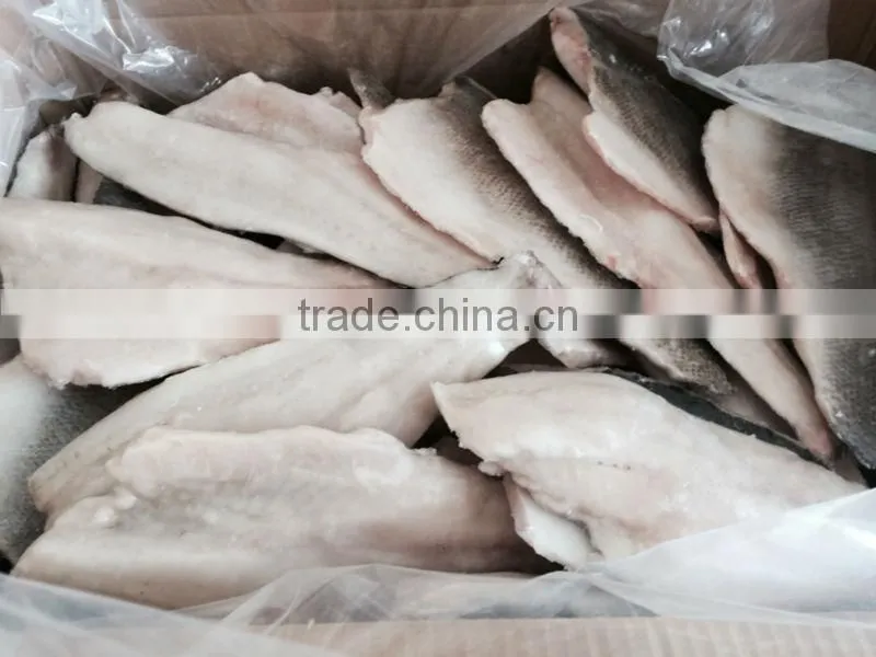 frozen japanese seabass fillet