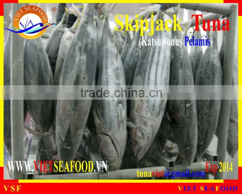 FROZEN W/R SKIPJACK TUNA