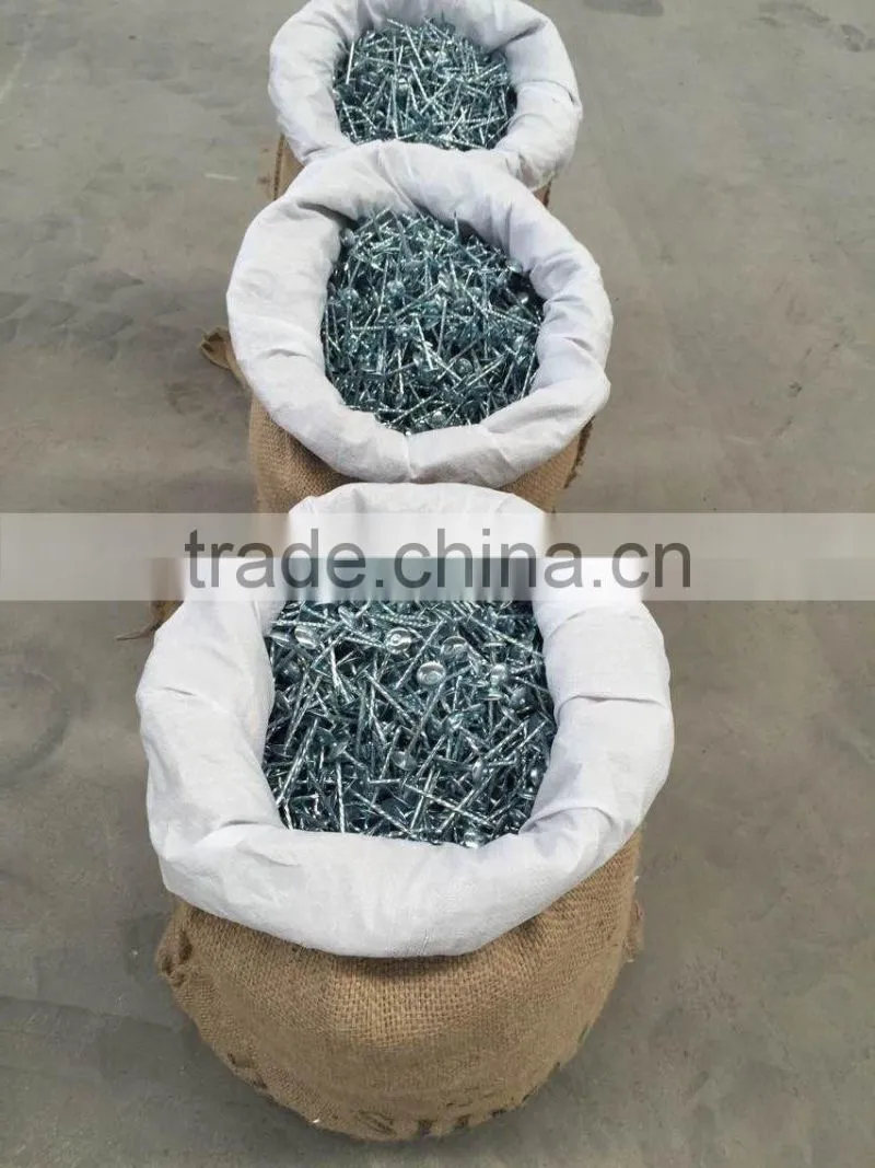 high quality roofing nail from china manufacturer