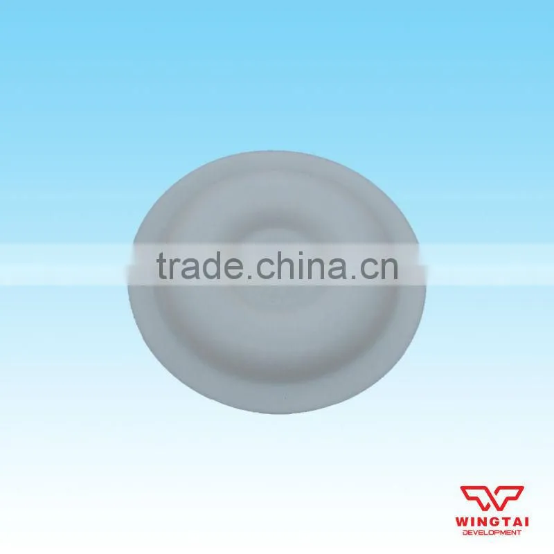 BML-10 PTFE Diaphragm Pump Flake