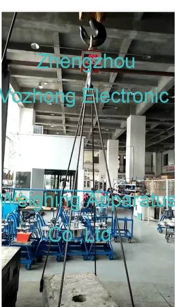 Zhengzhou Vozhong Electronic Weighing Apparatus Co.,Ltd company overview - view 1
