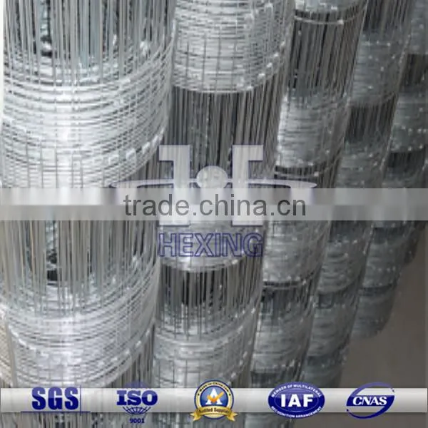 Electro Galvanized Prairie Fence Wire Mesh