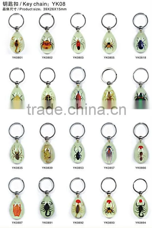 Real bug flower sea horse scorpion wholesale key chain rope