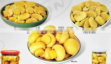 champingnons whole