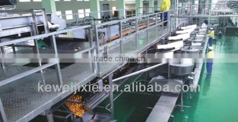 orange fruit production line