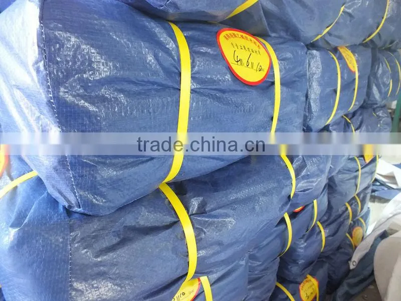 Blue/Silver PP Plastic Laminating Tarps Sheets Tarpaulin Plastic Sheet with All Specifications China Manufacturing
