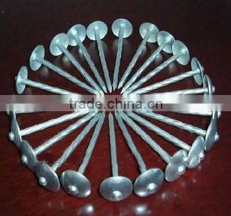 roofing coil nails 3.05*25 shank smooth
