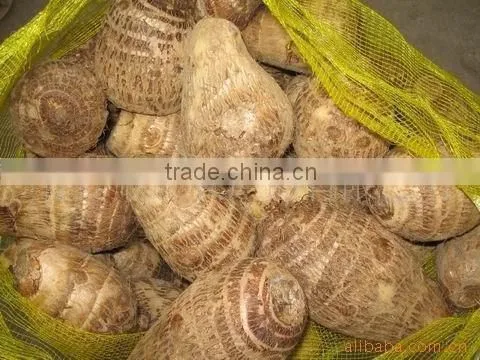 Chinese fresh taro