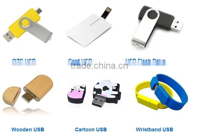 usb stick holder,usb flash chip holder custom shap/logo