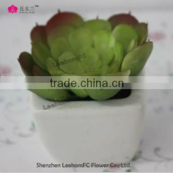 high quality tropical plant wholesale artificial mini succulents