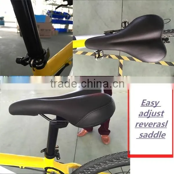 Easy control Electric bike with PAS and PEDALS