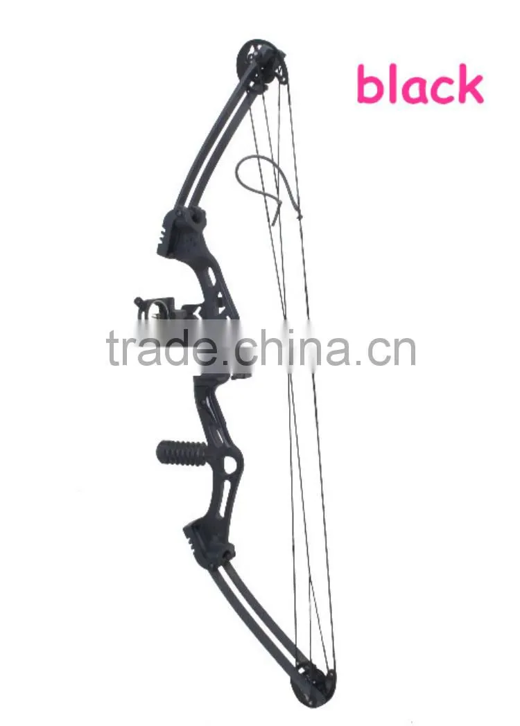 Hot Selling M107 Compound Bow archery bow set for hunting