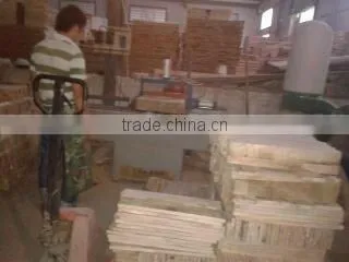 paulownia sawmill