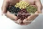 all kindsdried bean best quality(2011 export grade)