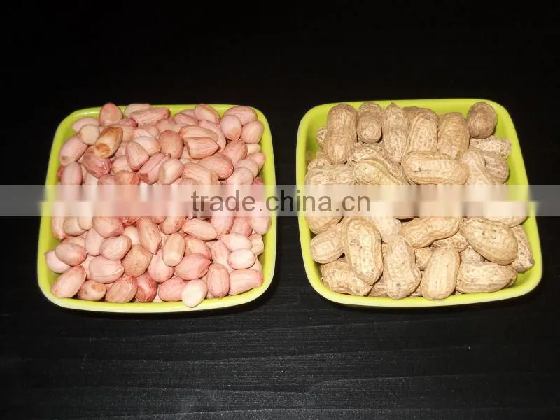 BEST QUALITY PURE FRESH RED PEANUT