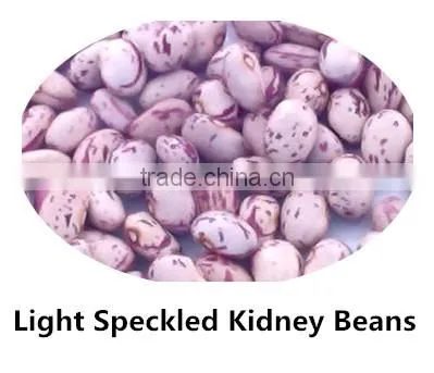 JSX cooking British red kidney bean round shape food grade red kidney bean