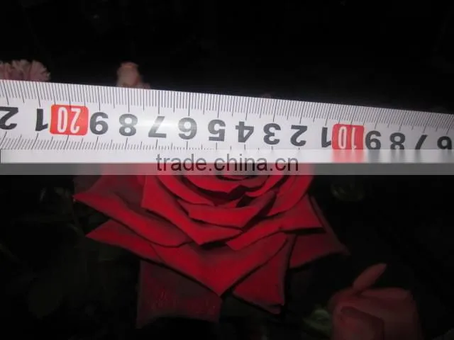 High grade fresh cut flower wholesale black magic 002 rose