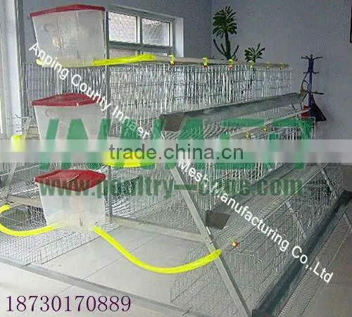 Supply Hot Sale Cheap Innaer Cock Cage for Broiler