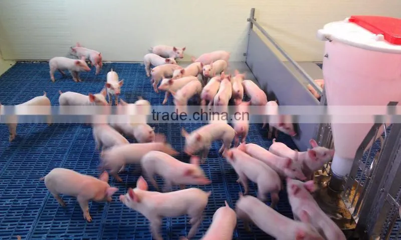 pig farm use plastic floors pig equipment pig plastic slats floor