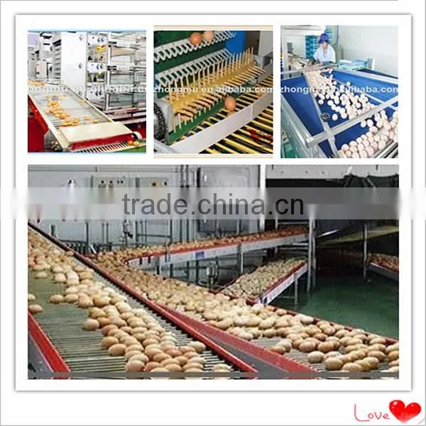fully automatic chicken cage equipment for poultry farming